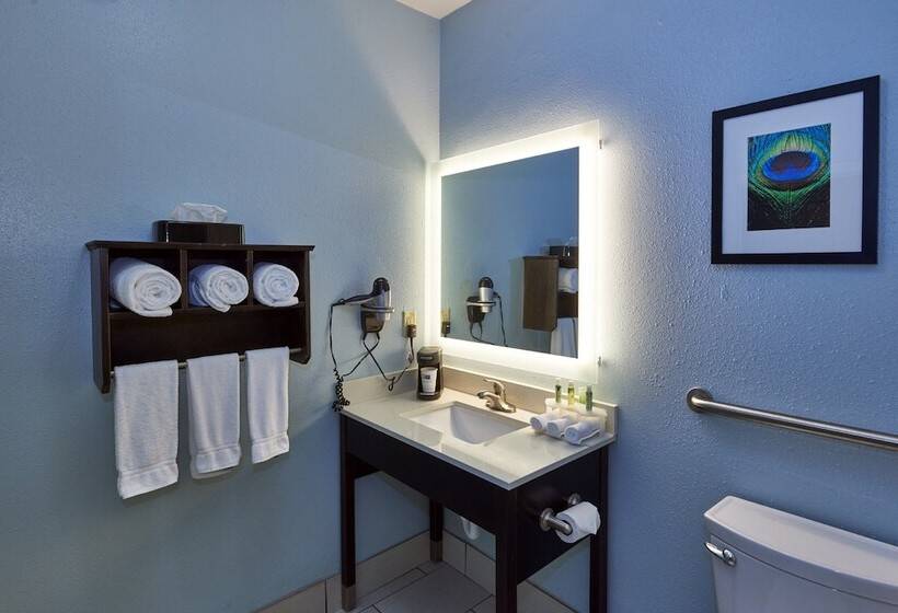Люкс, Holiday Inn Express & Suites Birmingham South   Pelham, An Ihg