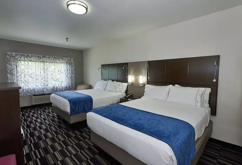 スイート, Holiday Inn Express & Suites Birmingham South   Pelham, An Ihg