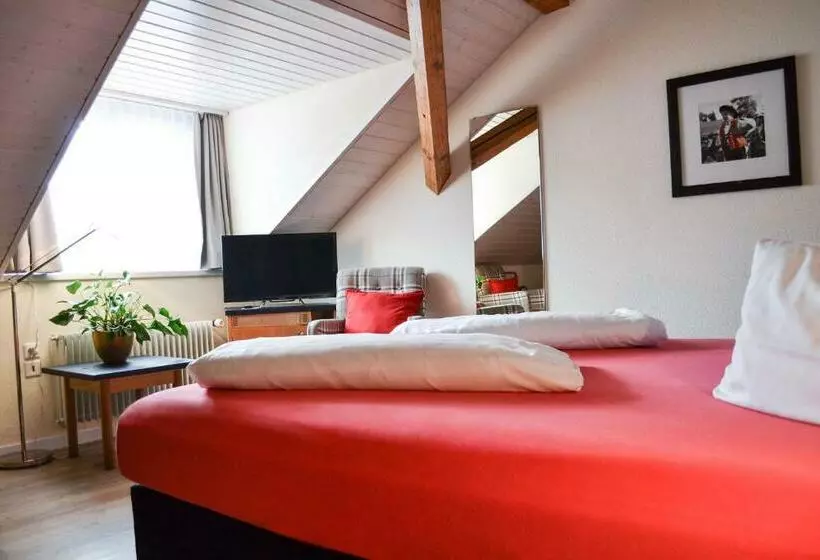 デラックスルーム, Landhaus Säntis Herisau