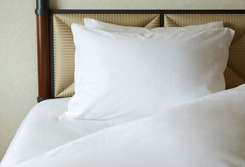 高级单人间, Miyako Hotel Gifu Nagaragawa