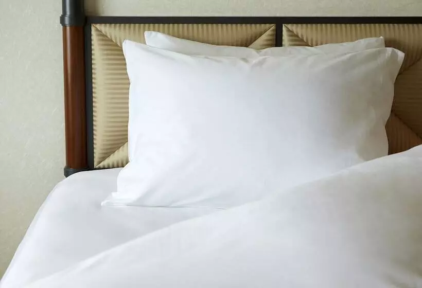 プレミアムシングルルーム, Miyako Hotel Gifu Nagaragawa