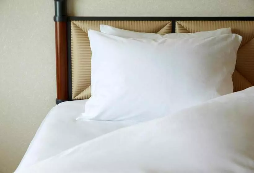スタンダードシングルルーム, Miyako Hotel Gifu Nagaragawa