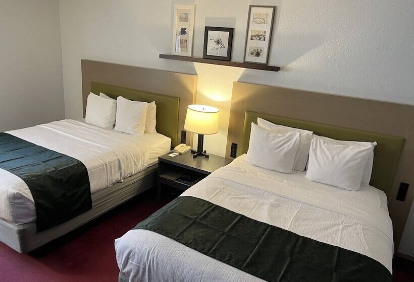 带2个双人床的标准工作室, Pictured Rocks Inn And Suites