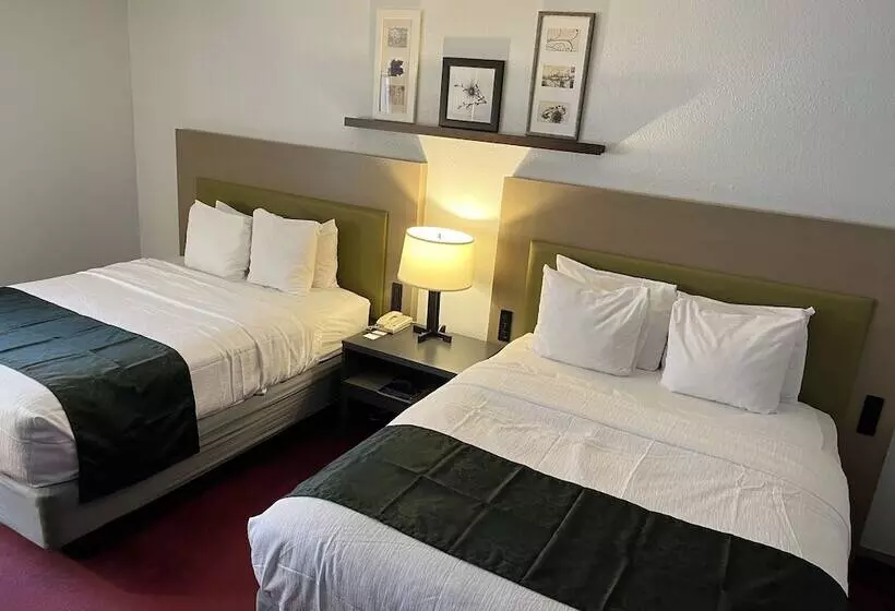 2ダブルベッドのスタンダードルーム, Pictured Rocks Inn And Suites
