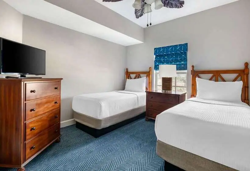 آپارتمان 3 خوابه, Hilton Vacation Club Grand Beach Orlando