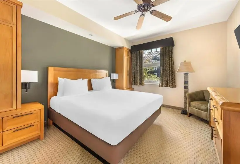 آپارتمان 1 خوابه, Hilton Vacation Club Grand Beach Orlando