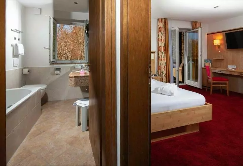 اتاق لوکس یک تخته, Alm  & Wellnesshotel Alpenhof
