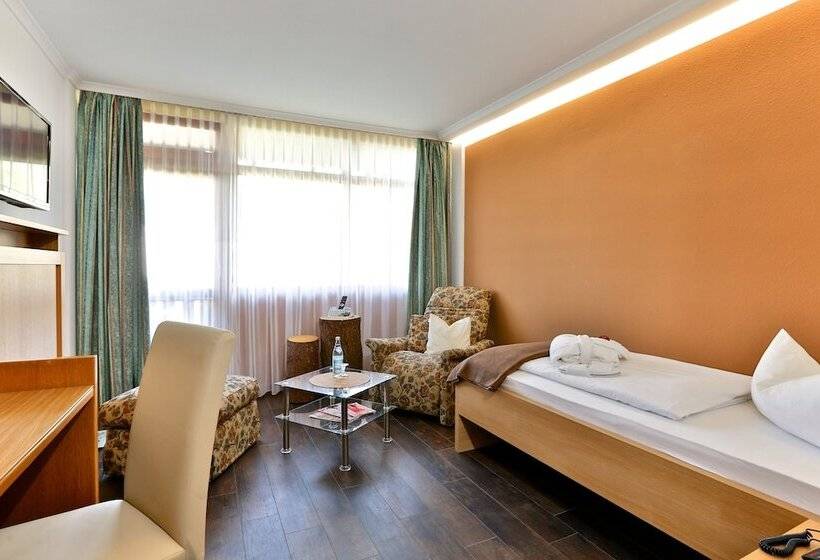 スタンダードシングルルーム, Aktivital