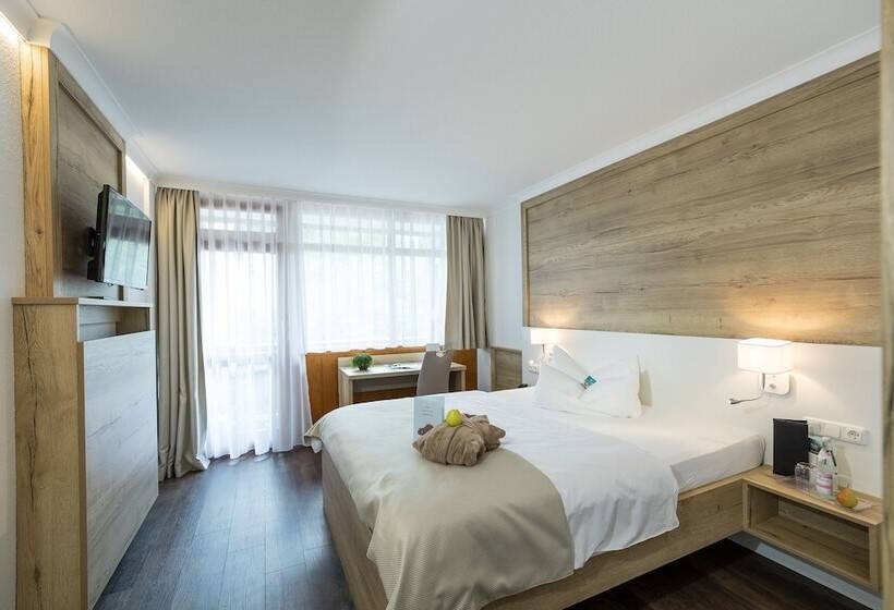 スタンダードシングルルーム, Aktivital