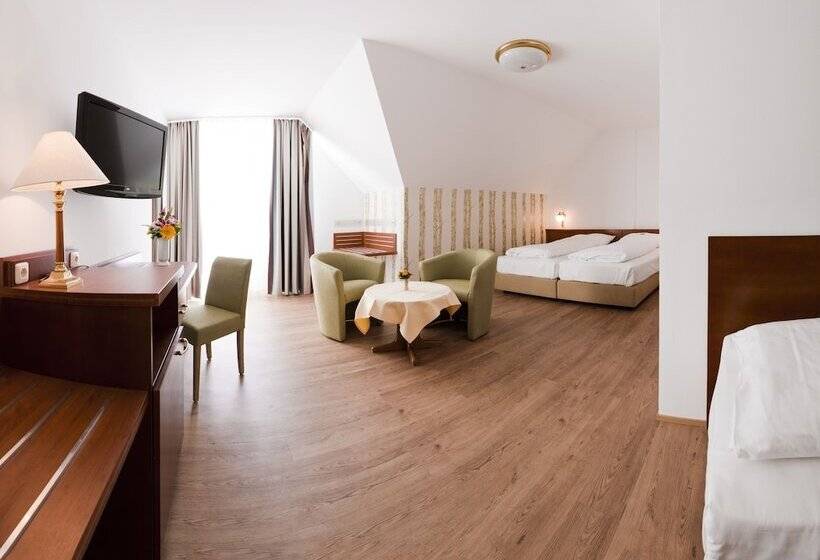 اتاق خانوادگی, Arte Hotel Wien Stadthalle