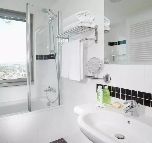 اتاق راحتی یک تخته, Clarion Congress Hotel české Budějovice
