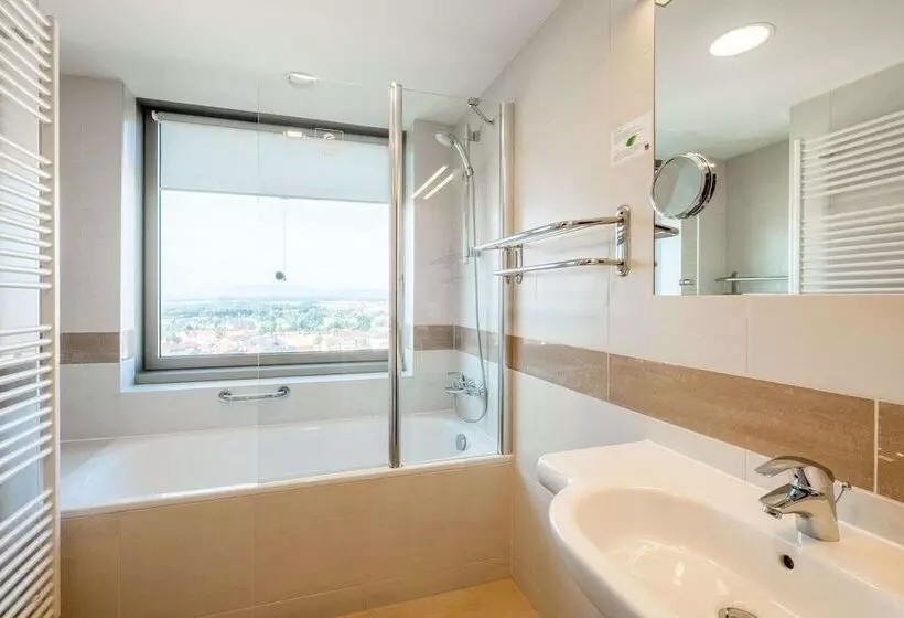اتاق سوپریور, Clarion Congress Hotel české Budějovice