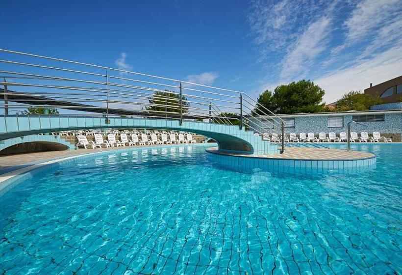 اتاق استاندارد یک نفره, Delfin