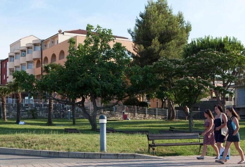 اتاق استاندارد یک نفره, Delfin