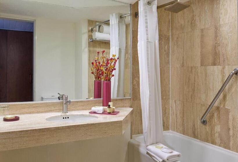 디럭스 룸, Fiesta Americana Reforma