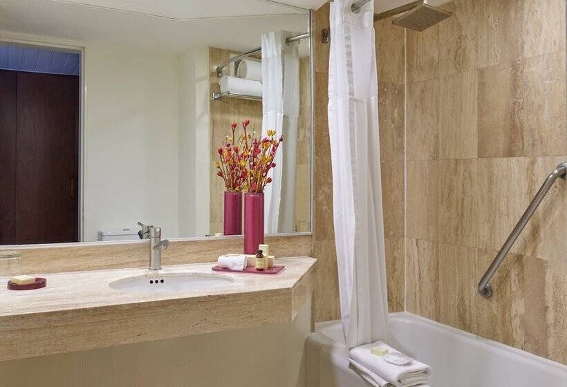 클럽 룸, Fiesta Americana Reforma