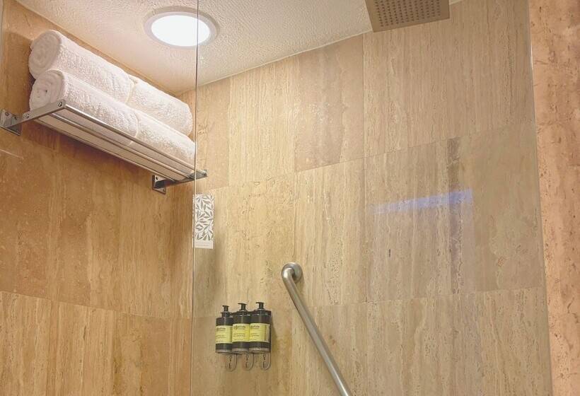 디럭스 룸, Fiesta Americana Reforma