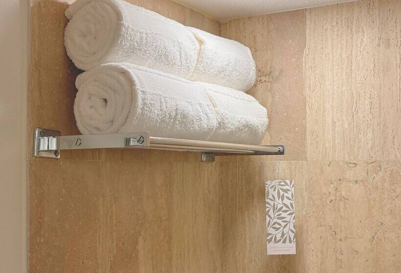 마스터 스위트, Fiesta Americana Reforma