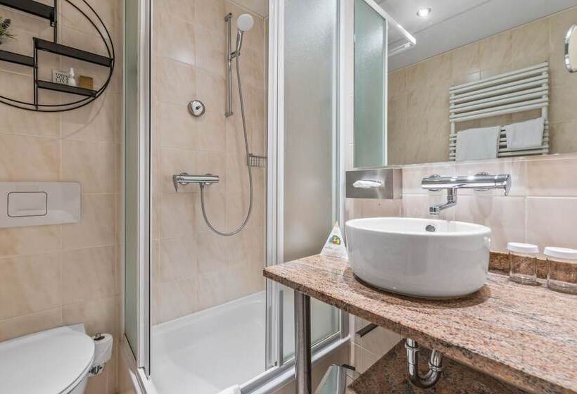 اتاق استاندارد یک نفره, King S Hotel First