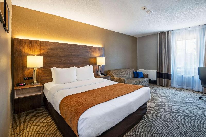 اتاق استاندارد یک نفره, King S Hotel First