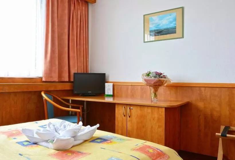 Quarto Estandar Individual, Olympik