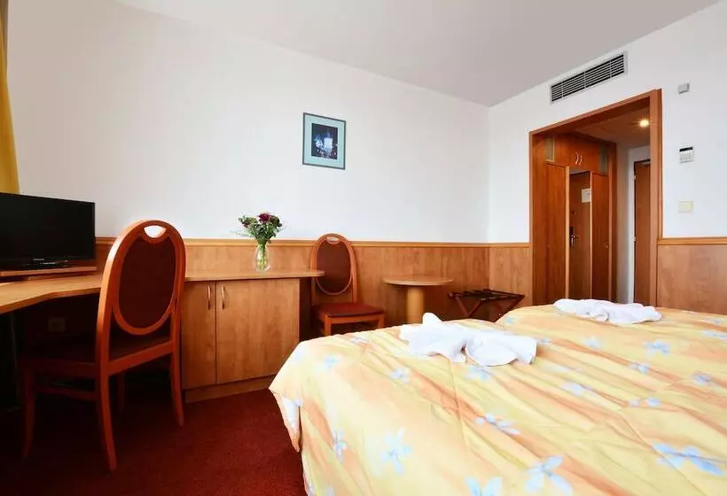 Quarto Estandar, Olympik