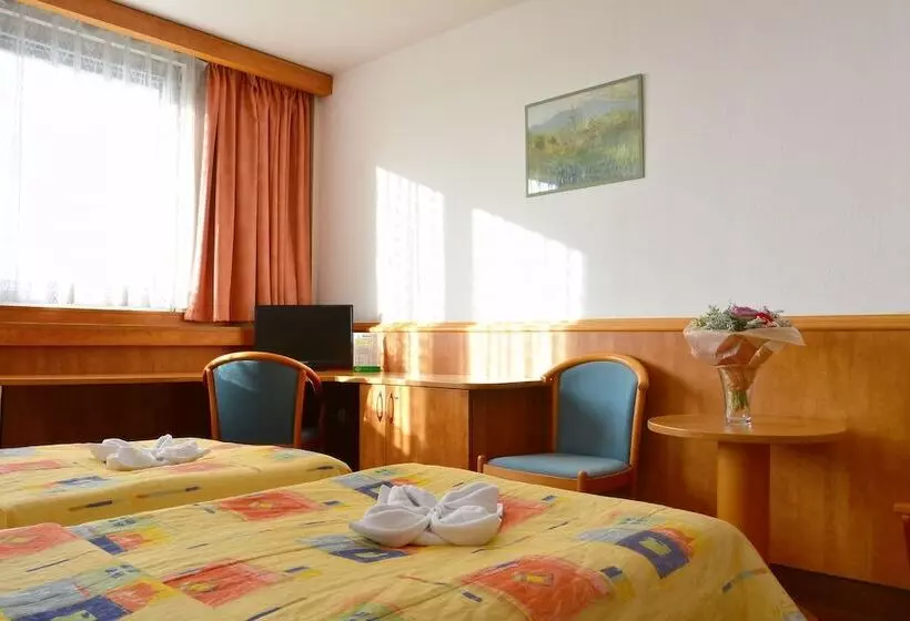 Quarto Estandar, Olympik