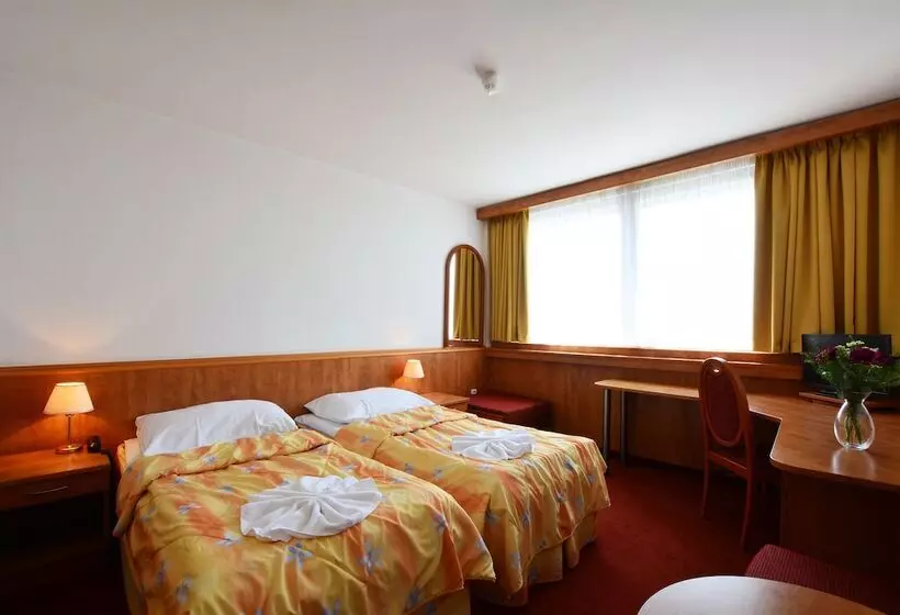 Quarto Estandar, Olympik