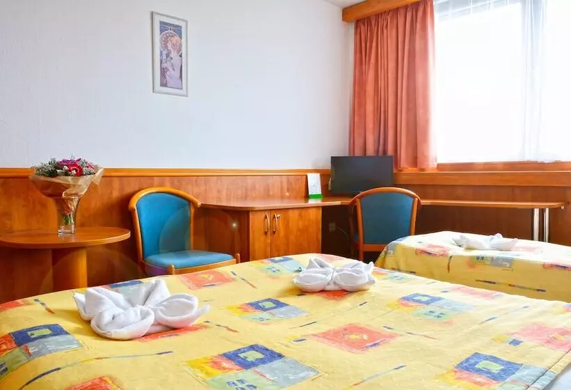 Quarto Triplo Estandar, Olympik