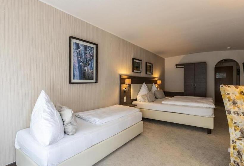 스탠다드 트리플 룸, Parkhotel Luise Bad Herrenalb