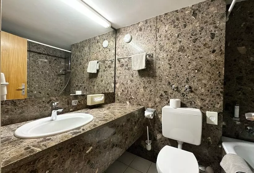 スーペリアールーム, Parkhotel Luise Bad Herrenalb