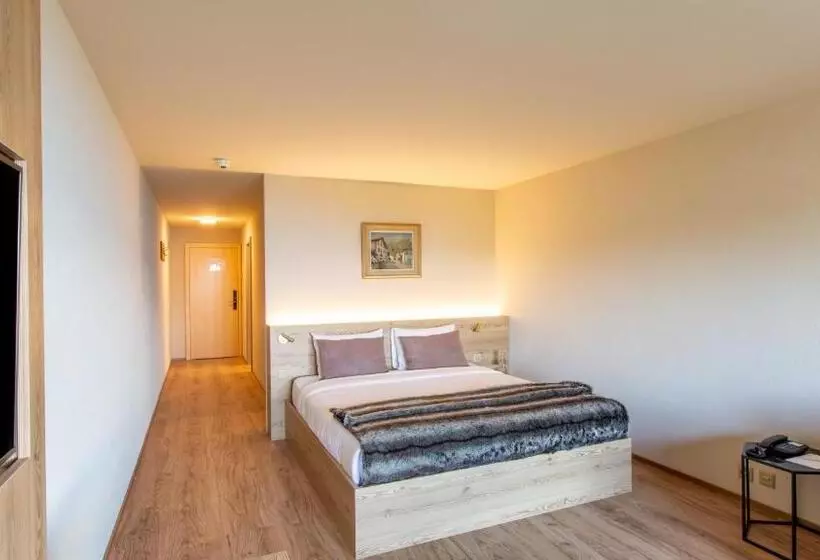 スタンダードルーム, Viu Hotel Villars