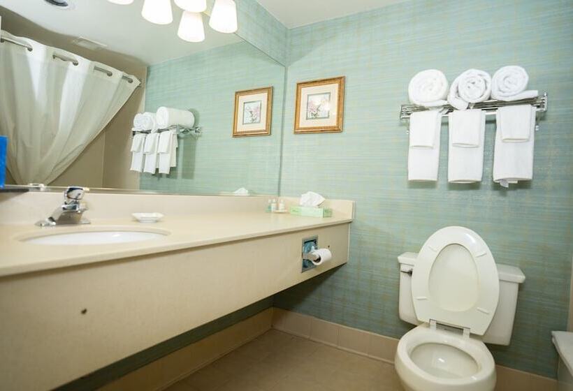 스탠다드 룸 더블 침대 2개, Clarion Hotel & Suites Convention Center Fredericksburg