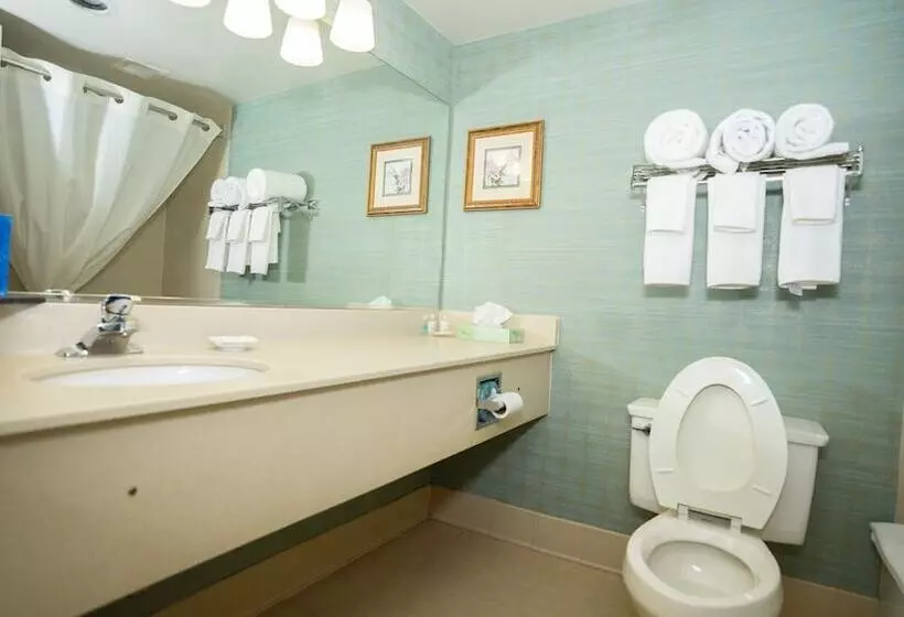 Standard-huone 2 Parivuodetta, Clarion Hotel & Suites Convention Center Fredericksburg