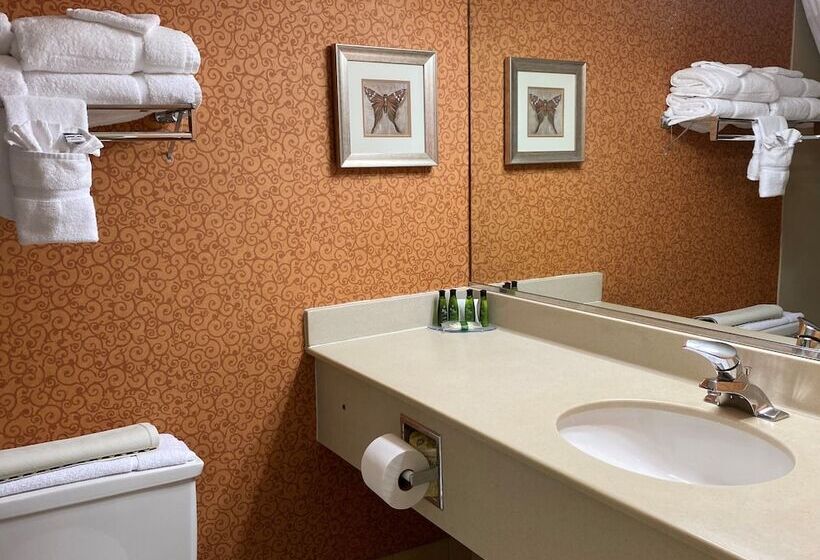 带2个双人床的标准工作室, Clarion Hotel & Suites Convention Center Fredericksburg