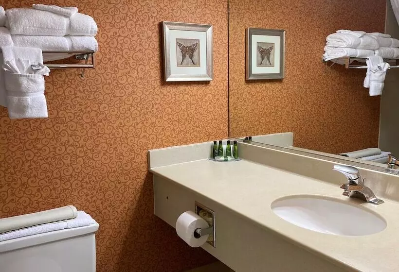 Standard-huone 2 Parivuodetta, Clarion Hotel & Suites Convention Center Fredericksburg
