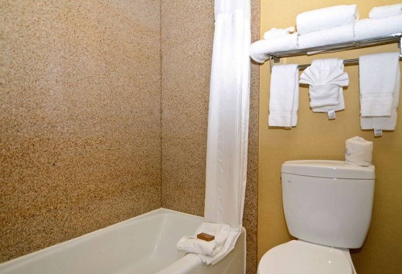 이그제큐티브 룸, Best Western Plus Newport Mesa Inn