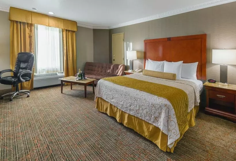 اتاق اجرایی, Best Western Plus Newport Mesa Inn