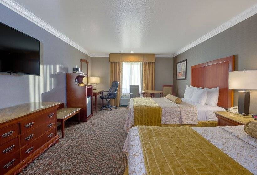 غرفة تنفيذية, Best Western Plus Newport Mesa Inn