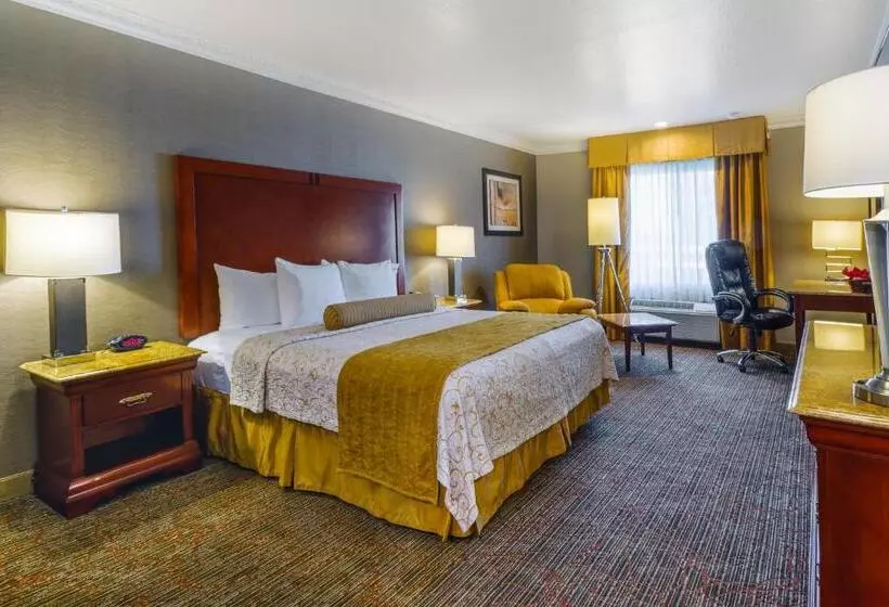اتاق استاندارد با تخت بزرگ, Best Western Plus Newport Mesa Inn