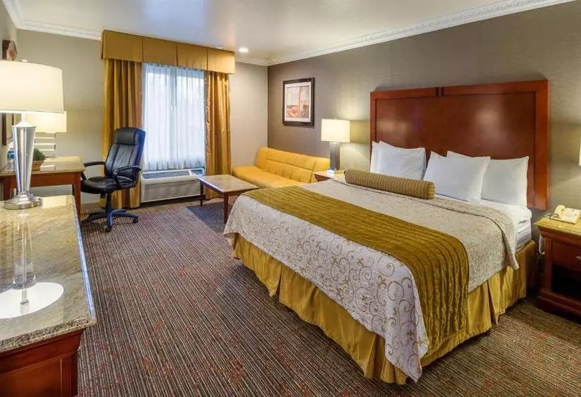 اتاق استاندارد با تخت بزرگ, Best Western Plus Newport Mesa Inn
