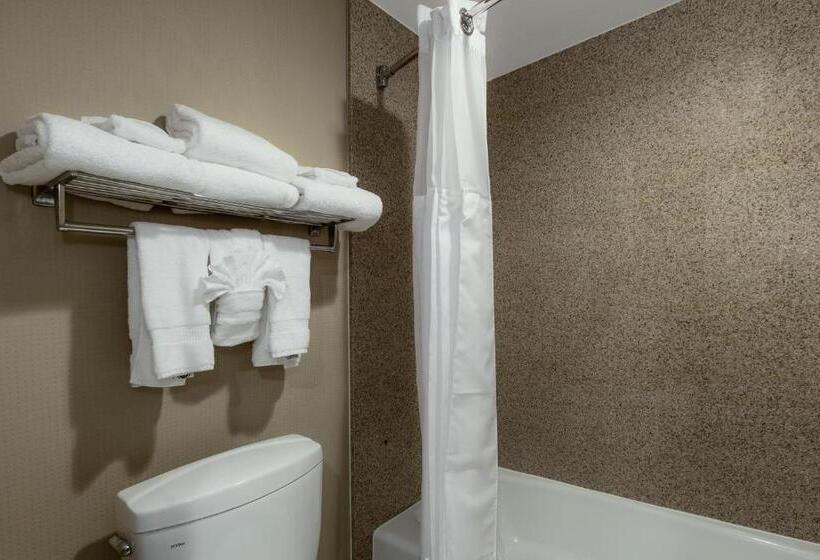 스탠다드 룸 킹사이즈 침대, Best Western Plus Newport Mesa Inn
