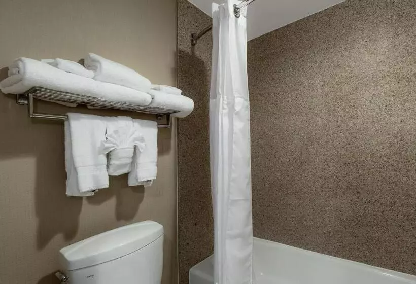 اتاق اجرایی با تخت بزرگ, Best Western Plus Newport Mesa Inn