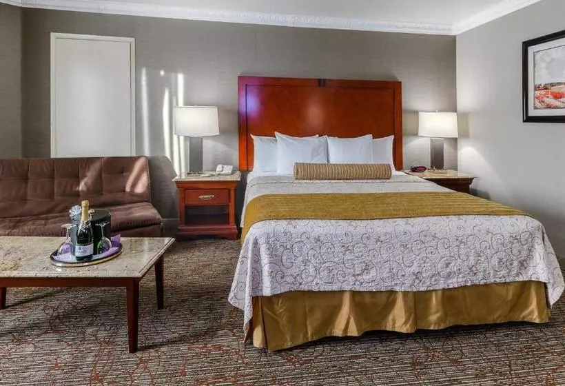 اتاق اجرایی با تخت بزرگ, Best Western Plus Newport Mesa Inn
