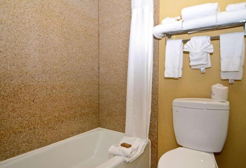 이그제큐티브 룸 킹사이즈 침대, Best Western Plus Newport Mesa Inn