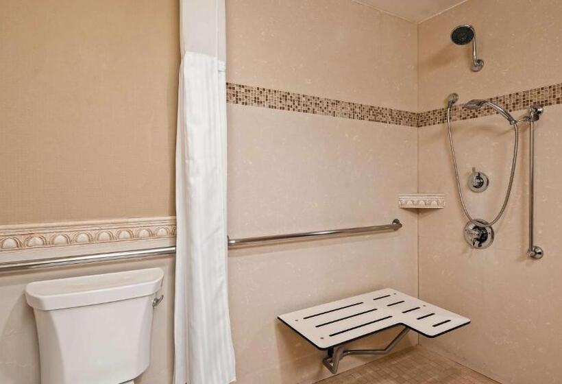 장애인을 위한 킹사이즈 침대 스탠다드 룸, Best Western Plus Newport Mesa Inn