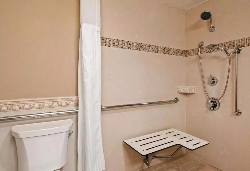 اتاق استاندارد با تخت بزرگ برای معلولان, Best Western Plus Newport Mesa Inn