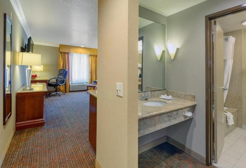 스탠다드 룸 킹사이즈 침대, Best Western Plus Newport Mesa Inn