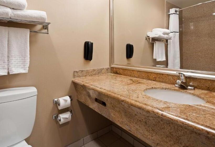 غرفة قياسية سرير كينج, Best Western Plus Newport Mesa Inn