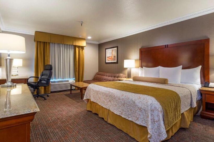 스탠다드 룸, Best Western Plus Newport Mesa Inn